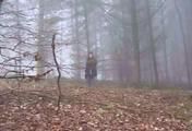 ab-132 Attack in the forest (1)