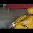 03:20 Min. video with Katharina bound in a yellow rainsuit