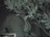 HIDDEN CAM AND FUCKING COUPLES