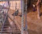 ab-107 Abducted Girls (3)
