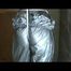 a video with Nicole tied and gagged in a shiny silver PVC sauna suit