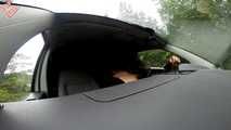 USERDATE WITH BLOWJOB IN CAR