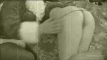 Naughty or Bound - widescreen