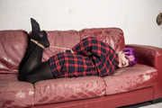 Roxie in Check Shirt and Tights Hogtie