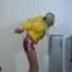 one of our archive girls tied and gagged in a shiny nylon down jacket