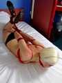Bound Detective