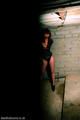 The cellar