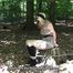 Jessy tied in the forest 2/2