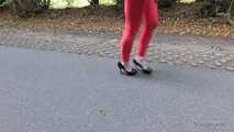 Horny red on the highway