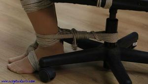 Tax inspector part 2