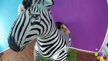 26 Jasmin's Wild Ride