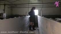 Clip #008 Feeding my pigs—the mixed group #humanpig in the real #barn
