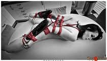 Hogtied on the kitchen table, part 2