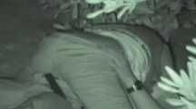 VOYEURFUN 1641