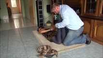 Paulette and Romy - The supposed gardener 1 part 5 of 6