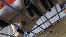 Belt Spiele Ultimate