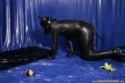 Rubber Dog Routine 2