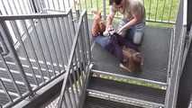 Stella on stairs 1/2