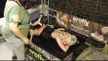 Tight Belt Hogtie for Lena King