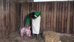 The sense of my slaughter pig ( role play )