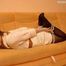 Mimi - Tied up in living room 2