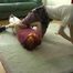 2 older videos with hot girls
