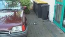 048003 Sandra Follows Kathy's Example And Pees In The Parking Area