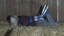 Elysa im hogtie 2/2