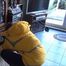 Request video Tanja - The burglar Part 1 of 5
