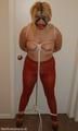 Rust Tights