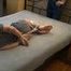 Gina and Stefanie – Hogtie Challenge, Part 2 of 6