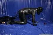 Rubber Dog Routine 2