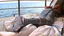 [From archive] Iren as a mermaid (video)