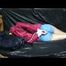 Watch Samantha in 3 Archive Videos enjoying Bondage in her shiny nylon Shorts from 2012.