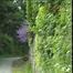 PJP-17 Ewa Visits Shropshire Volume 1