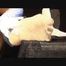 white pump foot fetish