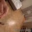 Wild Things with Alysia Part 01