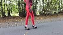 Horny red on the highway