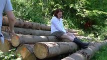Aurora roped on trees 1/2