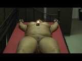 Wax and plug play