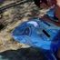 264 Whale washing