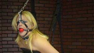 Adrienna Combo set 4