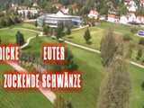 DICKE EUTER ZUCKENDE SCHWÄNZE