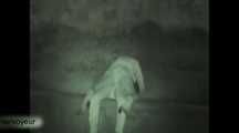 HIDDEN CAM AND FUCKING COUPLES