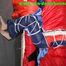 Sonja tied and gagged overhead with ropes and a ballgag wearing a sexy shiny nylon oldschool downbib (Pics)