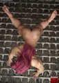 Fitness Beauty Delight