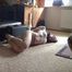 Audrey - The Takeover Part 4 of 6