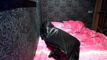 [From archive] Stella - packed in the trash bag on the bed and escapes