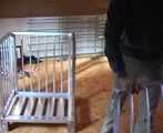 ab-086 Held for ransom (2)