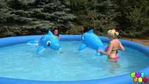 354 Cool off in the water!